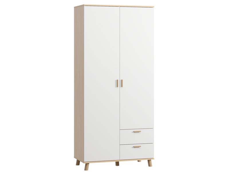 Распашной шкаф Пронто 2-100x220 Береза/Белый