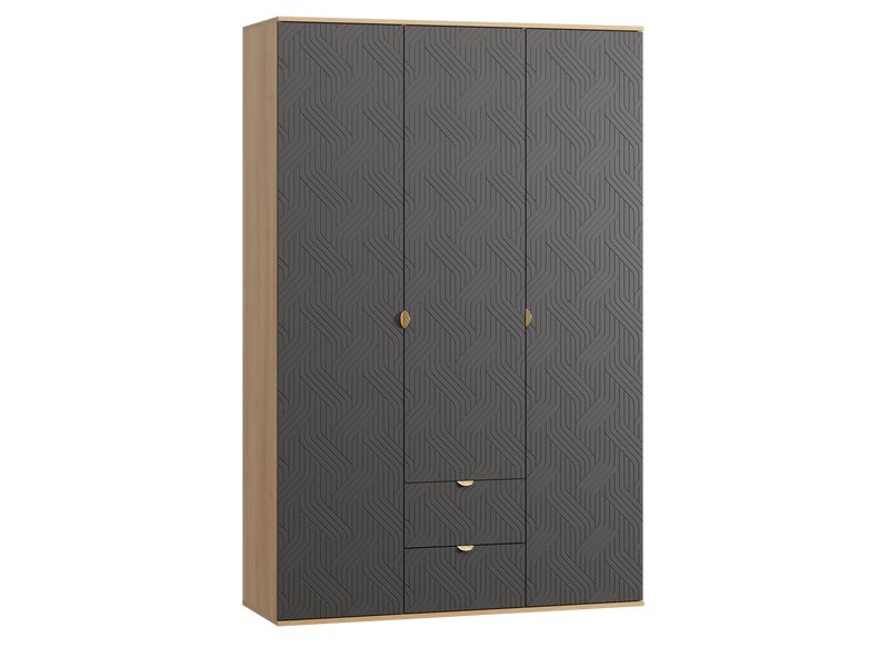 Распашной шкаф Монблан 3-139x215 Косы Графитовый