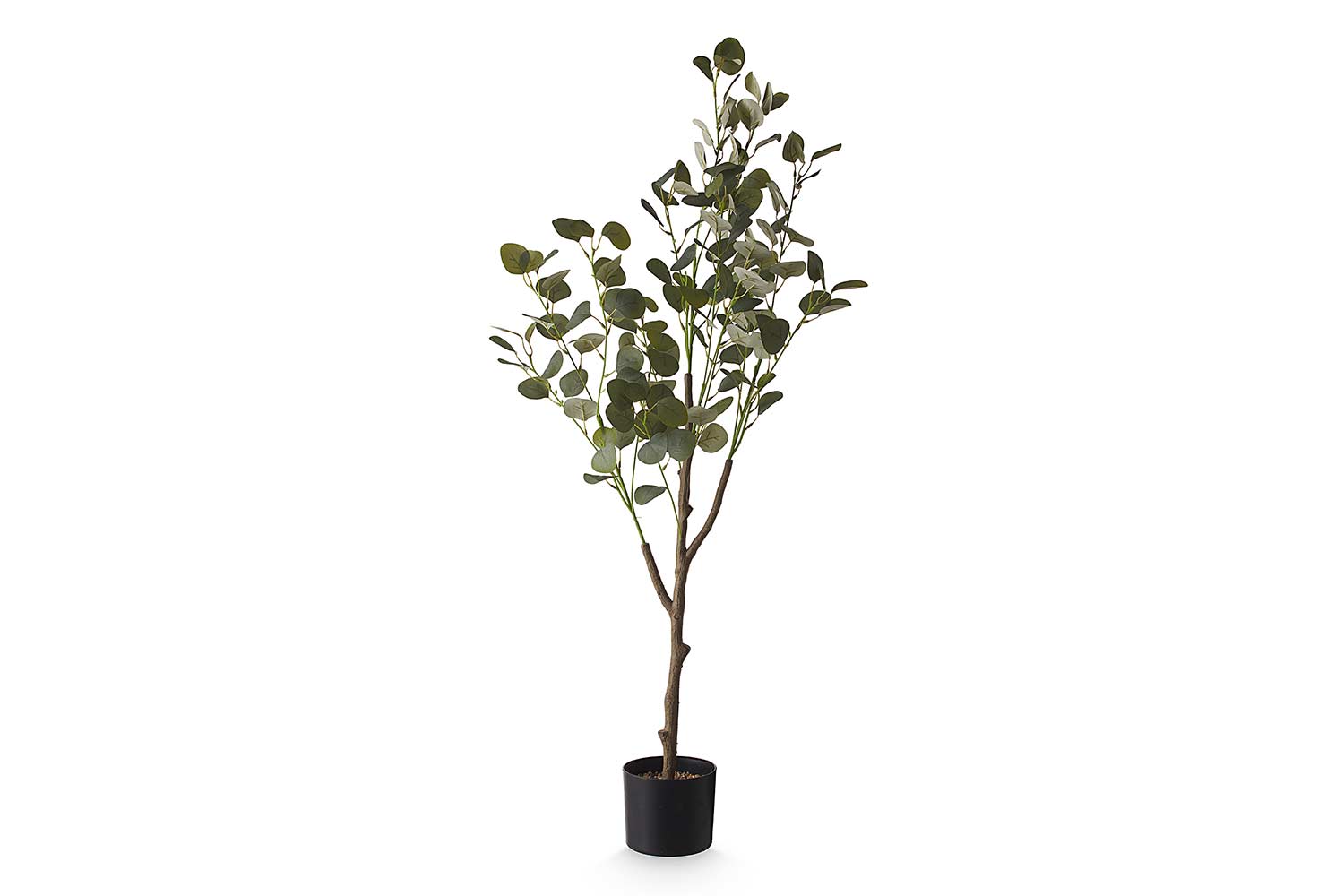 Искусственное растение Эвкалипт