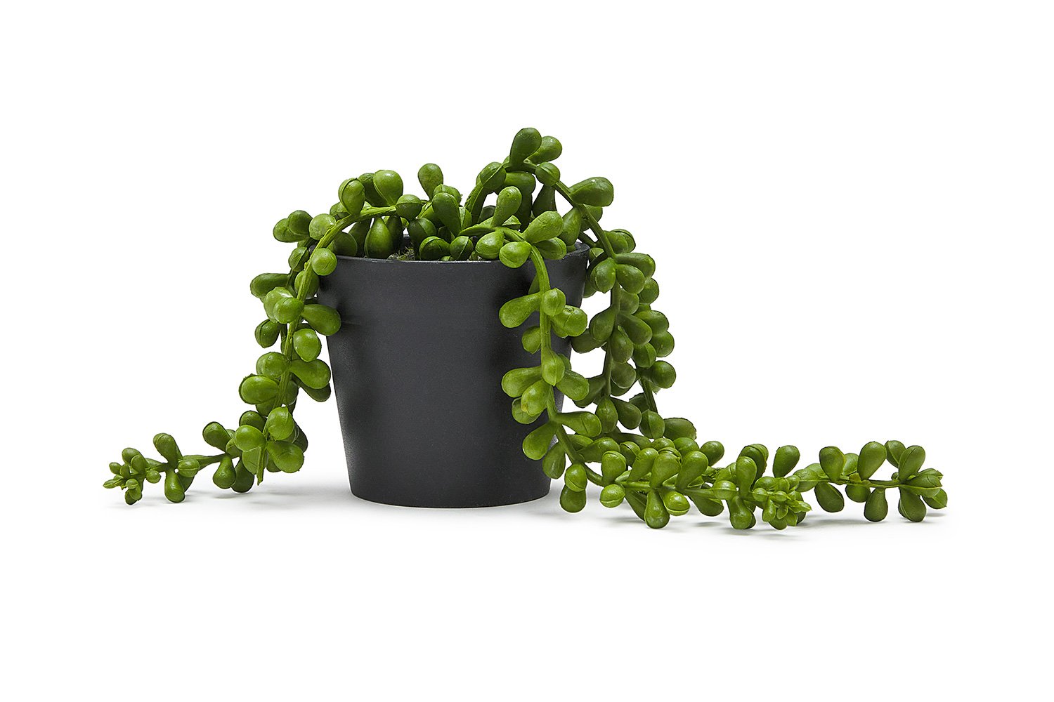 Искусственное растение Листья фасоли