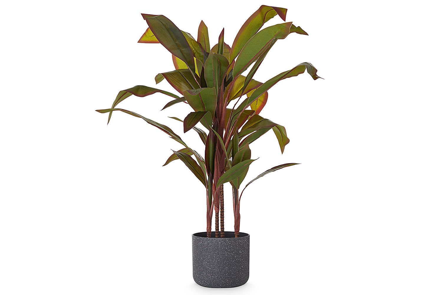 Искусственное растение Драцена