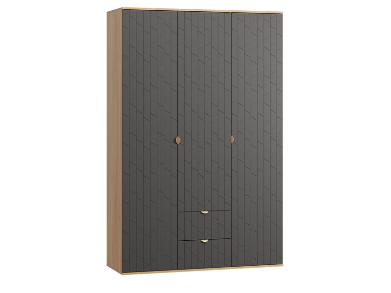 Распашной шкаф Монблан 3-139x215 Грань Графитовый
