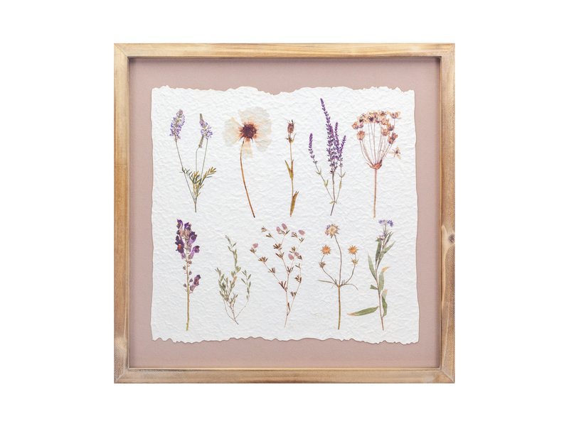 Картина Ботаник Гербарий Коричневый 40x40