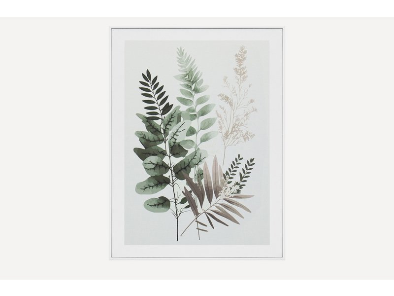 Картина Ботаник Трава 30x40