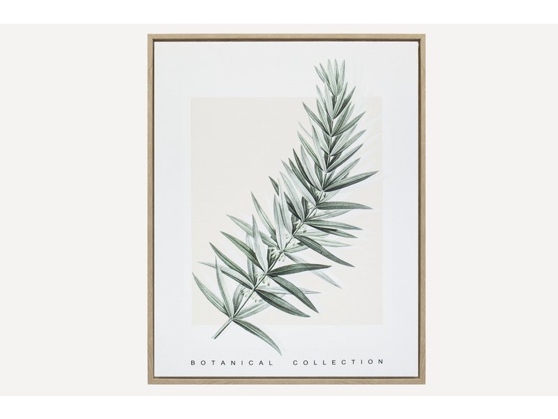 Картина Ботаник Трава 40x50