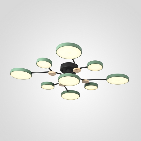 Потолочная светодиодная люстра с пультом управления на штанге Gamma D98 Green Imperiumloft Gamma01 (223772-23) ImperiumLoft