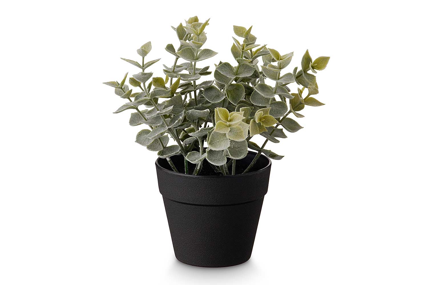 Искусственное растение Лист-монетка