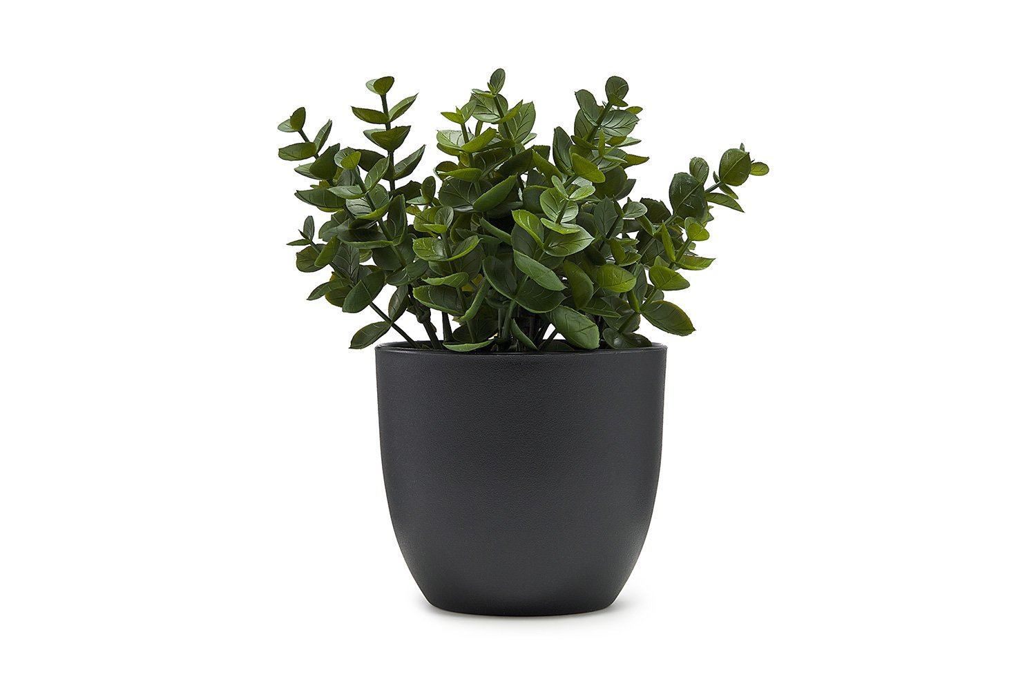 Искусственное растение Эвкалипт