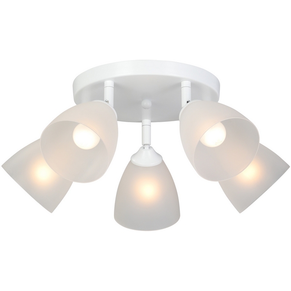 Потолочная люстра Vitaluce V4355-0/5PL