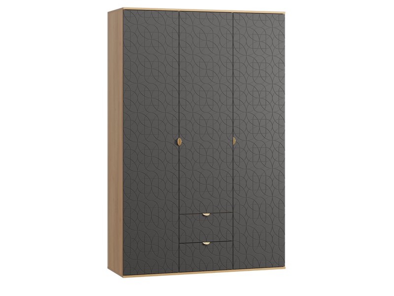 Распашной шкаф Монблан 3-139x215 Ритм Графитовый