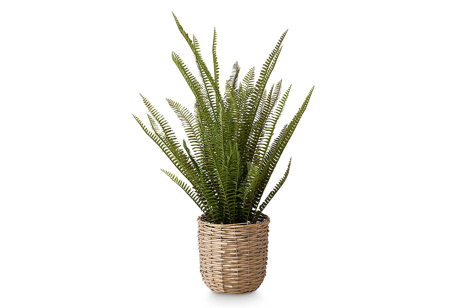 Искусственное растение Нефролепис