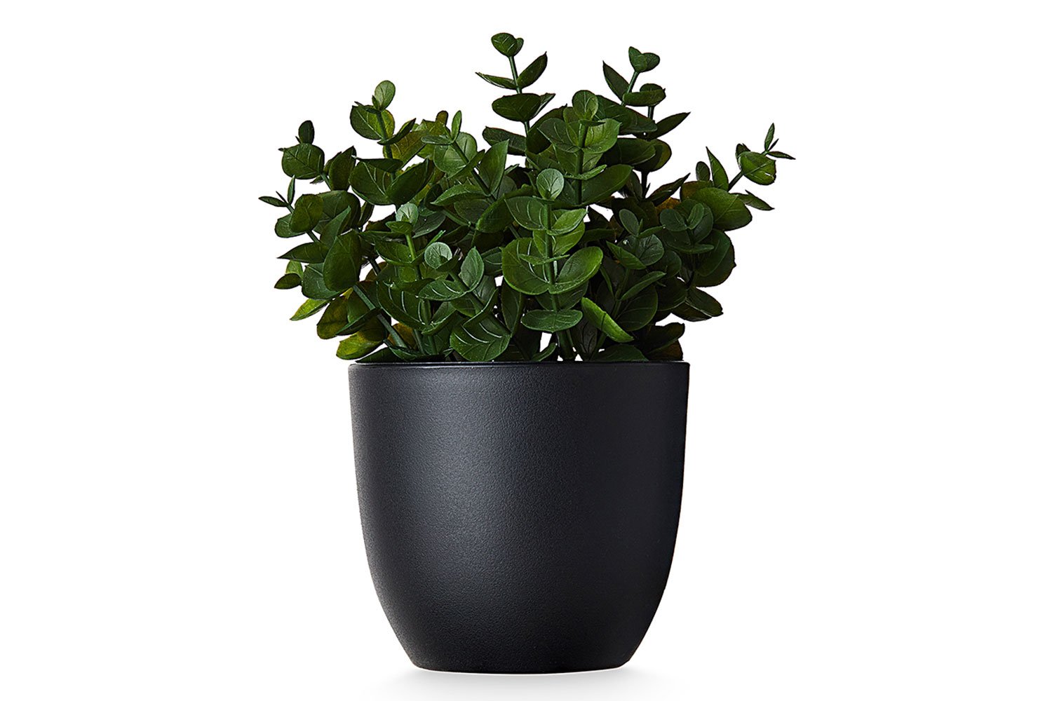 Искусственное растение Эвкалипт