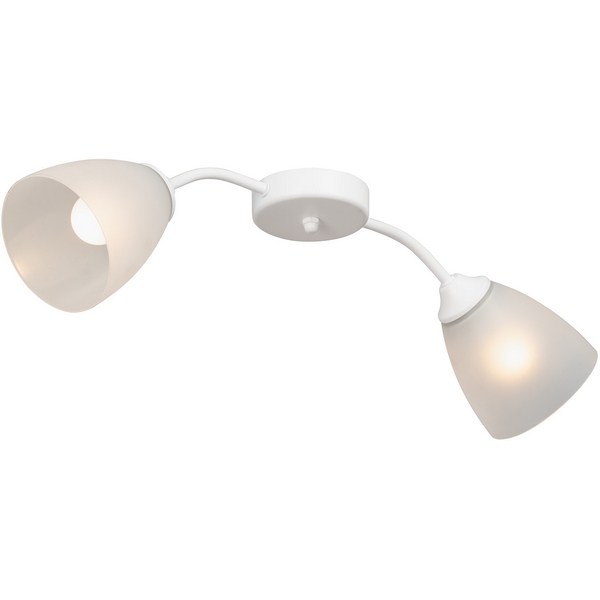 Потолочная люстра Vitaluce V3750/2PL