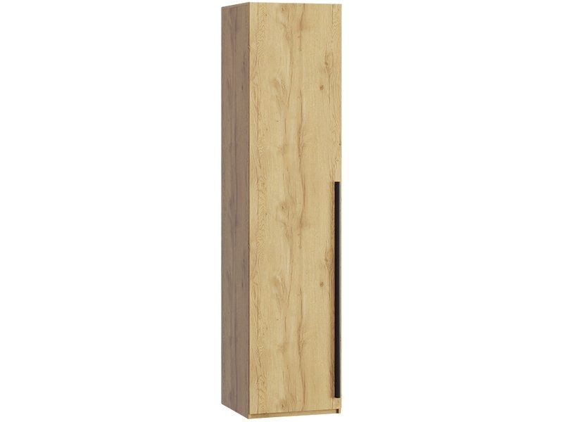 Распашной шкаф Кимбол 1-50x210 Дуб Золотистый