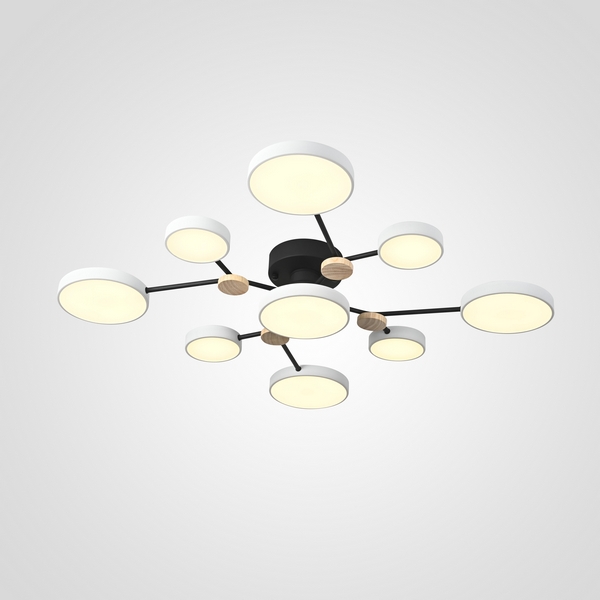 Потолочная светодиодная люстра с пультом управления на штанге Gamma D98 White Imperiumloft Gamma01 (223762-23) ImperiumLoft