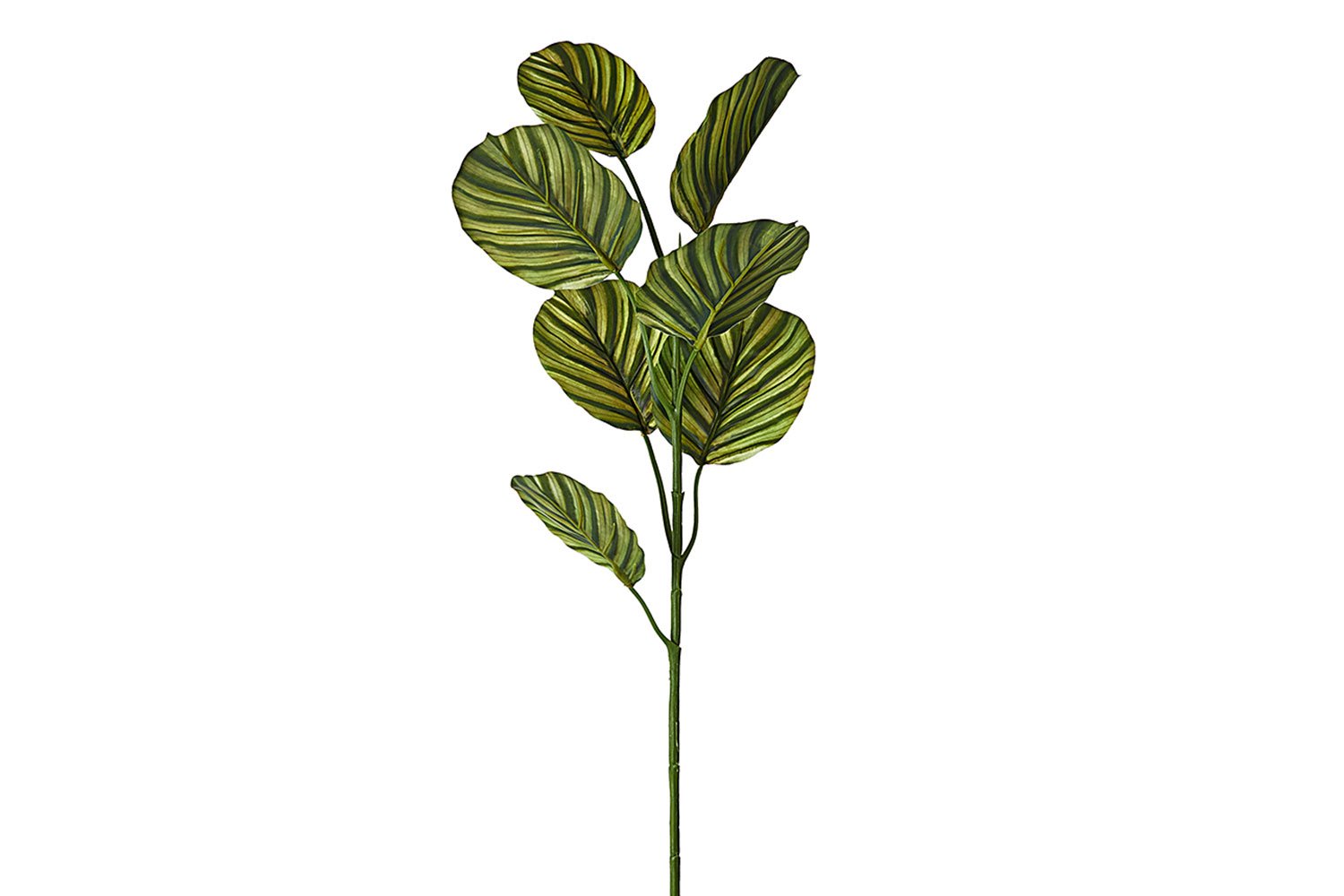 Искусственная ветка Калатея