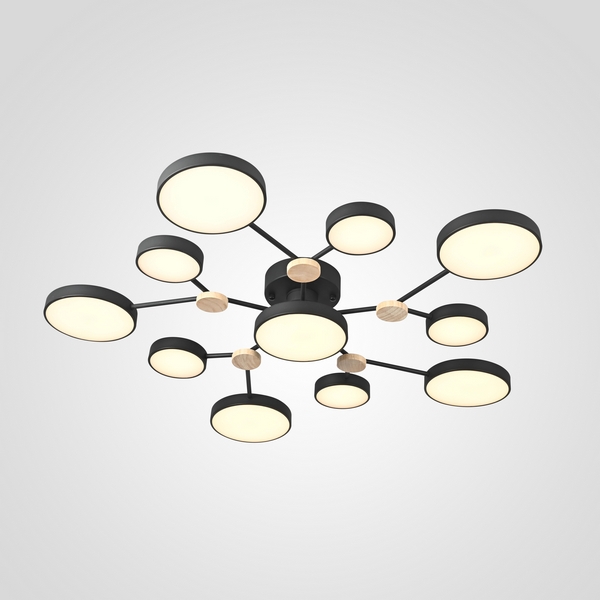 Потолочная светодиодная люстра с пультом управления на штанге Gamma D102 Black Imperiumloft Gamma01 (223770-23) ImperiumLoft