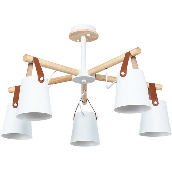 Потолочная люстра на штанге Arte Lamp Thomas A7032PL-5WH