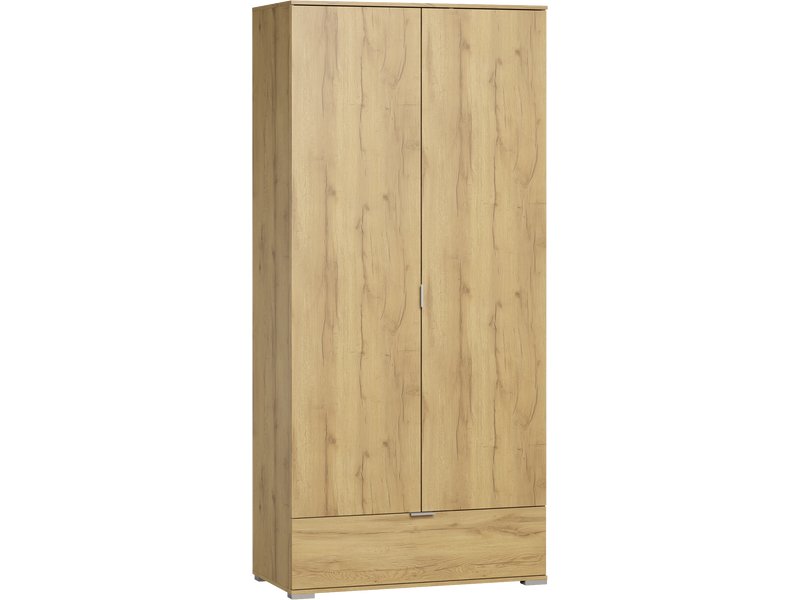 Распашной шкаф Стелла 2.1-100x240 Дуб Золотистый