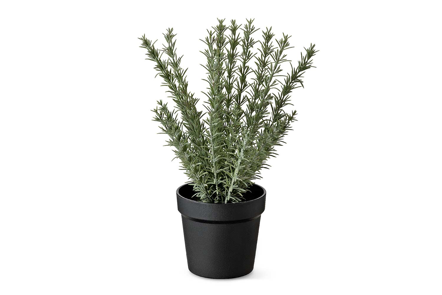 Искусственное растение Тимьян