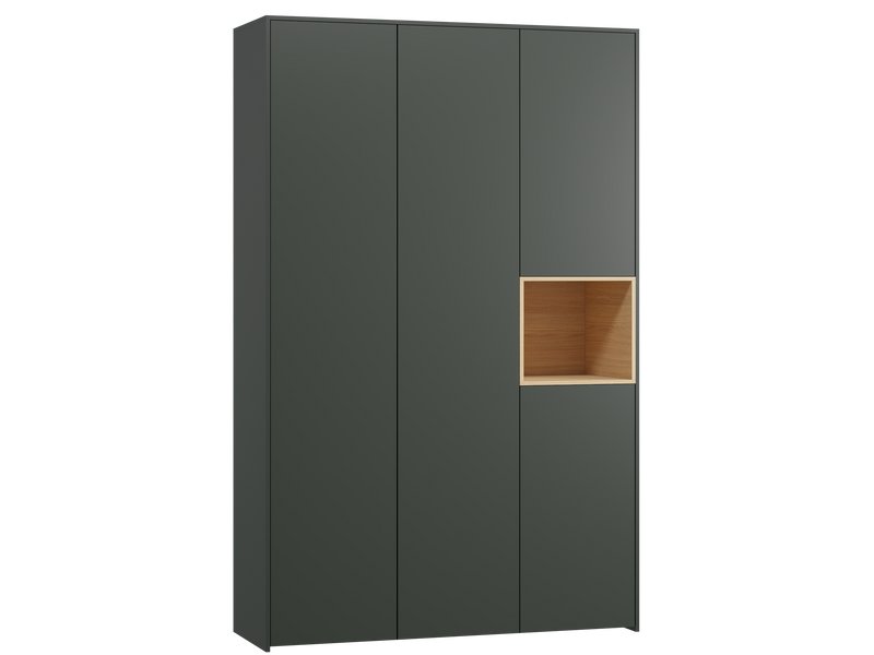 Распашной шкаф Висмар 3-153x240 Темно-зеленый