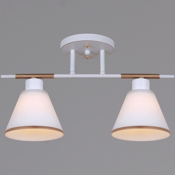 Потолочная люстра на штанге Reluce 07594-0.3-02 WG