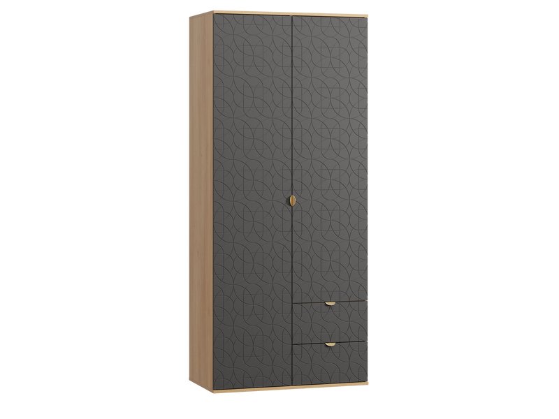 Распашной шкаф Монблан 2-93x215 Ритм Графитовый