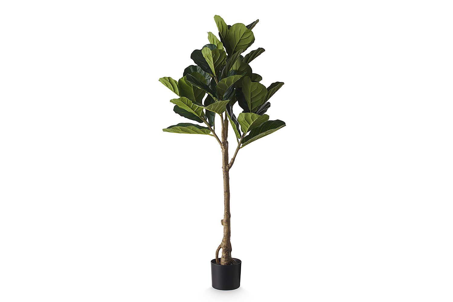 Искусственное растение Фикус